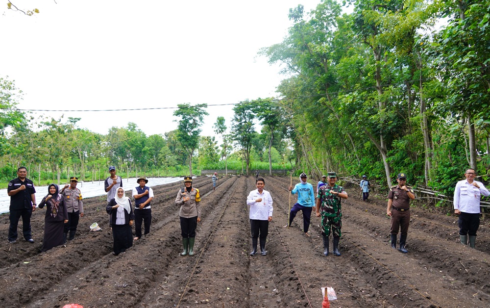 Penanaman serentak dalam rangka mendukung Program Asta Cita Ketahanan Pangan Nasional Polres Gunungkidul