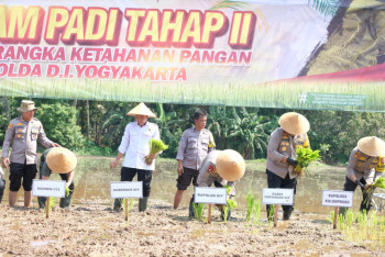 Kapolda DIY Pimpin Penanaman Padi Serentak, Dukung Program Asta Cita